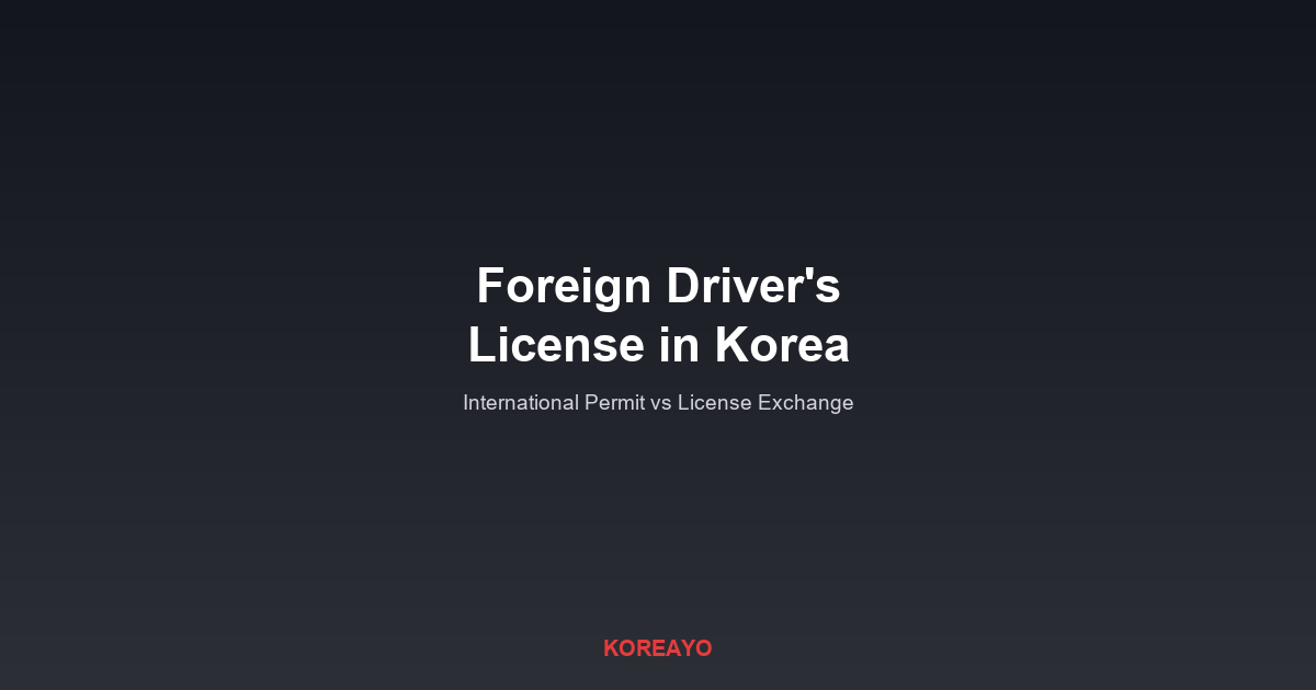 The International Permit Won't Get You Through a Korean Winter: License Options for Foreign Residents